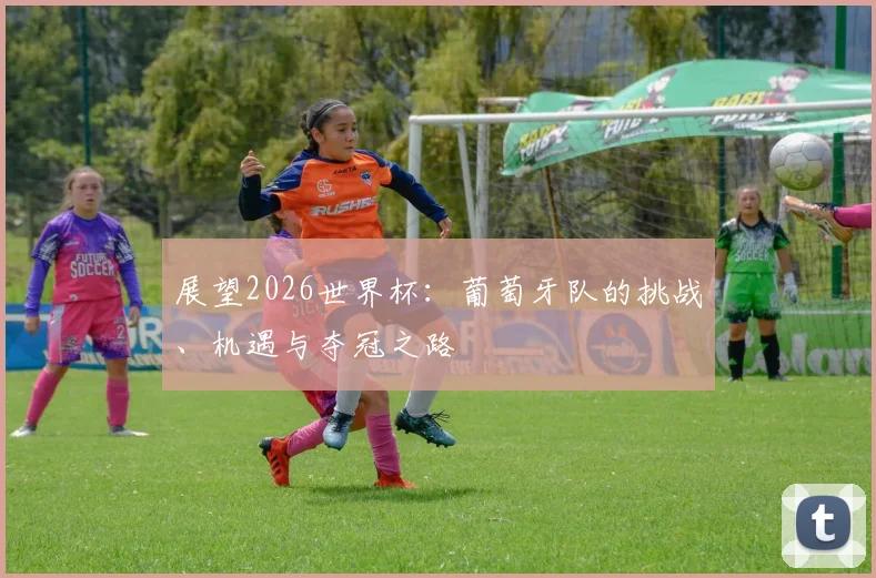 展望2026世界杯：葡萄牙队的挑战、机遇与夺冠之路